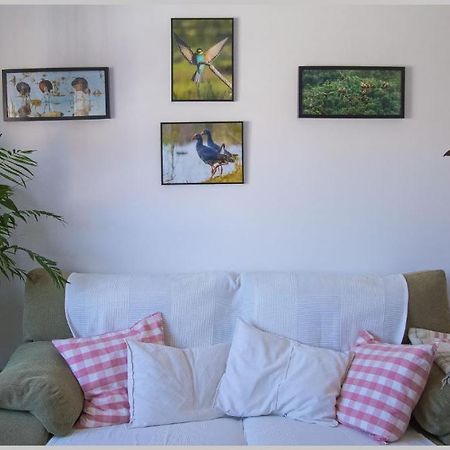 Casa De Los Pajaros Sevilla Eksteriør billede